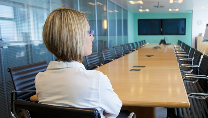 What are The Attributes of a Non-Executive Director - 
